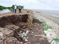 Cà Mau thuê trực thăng khảo sát sạt lở bờ biển