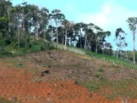 Thanh tra công tác quản lý, sử dụng đất nông, lâm nghiệp tại Đắk Nông