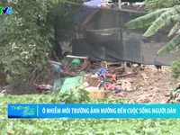 Ô nhiễm môi trường đang ảnh hưởng như thế nào tới cuộc sống của chúng ta?