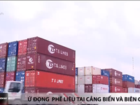 Hàng ngàn container phế liệu tồn ứ tại Việt Nam: Vì sao lại có tình trạng này?