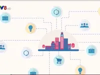 Thừa Thiên Huế dẫn đầu cả nước về phát triển Chính phủ điện tử