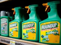 Tranh cãi về thuốc diệt cỏ Glyphosate