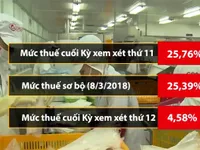 Thuế chống bán phá giá tôm Việt Nam vào Mỹ 'dễ thở' hơn