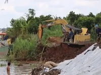 Vỡ đê bao và sạt lở gây thiệt hại nặng tại một số tỉnh ĐBSCL