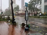 Bão Mangkhut đổ bộ Trung Quốc, 2 người thiệt mạng