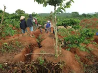 Phát hiện vết sụt lún lớn ở huyện Đăk Tô, Kon Tum