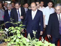 Cần đưa Quốc bảo sâm Ngọc Linh thành quốc kế dân sinh