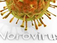 Bùng phát norovirus khiến 600 học sinh phải nghỉ học tại Mỹ