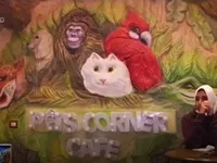 Pet Corner - Quán cafe dành cho thú cưng tại Ai Cập