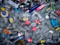 Portugal bans plastic bottles, bags in government's institutes