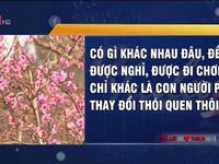 Bỏ Tết Âm lịch khác nào bỏ đi 'hồn' Việt