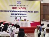 Vietnam’s central bank takes measures to curb illicit lending