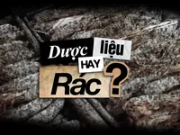 'Dược liệu' hay là 'rác'