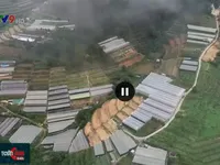 Phá bỏ nhà kính: Có phải là giải pháp khả thi trong phát triển Đà Lạt?