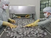 Xuất khẩu tôm sang Trung Quốc tăng trưởng trở lại