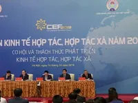 Thúc đẩy kinh tế tập thể đóng góp tỷ lệ GDP cao hơn