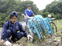 Ngành nông nghiệp tại Fukushima hồi sinh