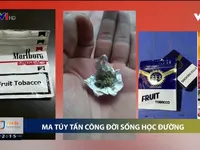 Ma túy học đường: Nỗi lo của xã hội