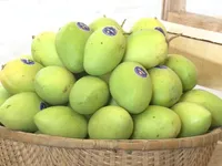 Hàng Việt chiếm lĩnh 200 thị trường