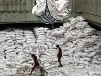 Philippines nhập khẩu gạo nhiều nhất thế giới