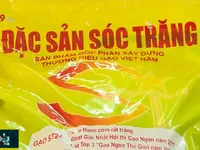 Gạo ST - Niềm tự hào của hạt gạo mang thương hiệu Việt Nam