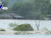 Xuất hiện vùng áp thấp trên biển Đông, Trung bộ mưa lũ kéo dài nhiều ngày