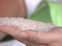 Ngành lúa gạo Thái Lan gặp nhiều khó khăn