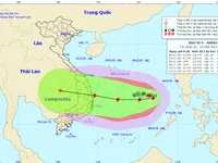 Theo dõi chặt chẽ diễn biến của bão số 6 để chủ động phòng tránh