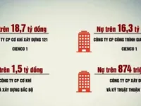 Hà Nội chuyển hồ sơ 4 DN nợ BHXH sang cơ quan công an xử lý