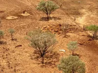 Kinh tế trang trại của Australia bị thiệt hại nặng do biến đổi khí hậu