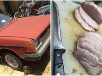 Nắng nóng khắc nghiệt ở Australia, ô tô biến thành “lò nướng” thịt lợn