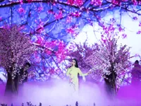 Vừa xuất viện, Cẩm Ly 'đội rét' đi diễn Festival Hoa Đà Lạt 2019