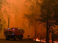 Gần nửa tỷ động vật bị chết trong cháy rừng ở Australia
