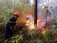 Khống chế vụ cháy rừng ở Bắc Giang