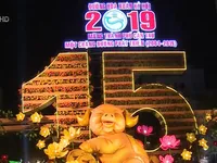 Đường hoa Xuân Cần Thơ rực rỡ, làm từ 80.000 chậu hoa tươi