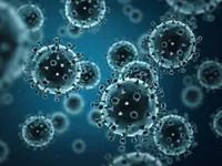 9 người tử vong do cúm lợn H1N1 ở Maroc