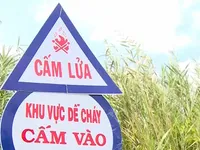 Nhiều cánh rừng cạn nước, nguy cơ xảy ra cháy cao