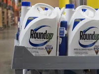 Xem xét ngưng nhập khẩu thuốc trừ cỏ chứa Glyphosate