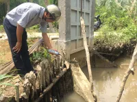 Bến Tre: Mặn xâm nhập tăng từng ngày, nguy cơ ảnh hưởng tới vườn cây ăn quả