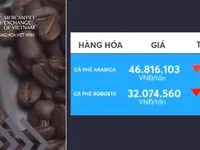 Giá cà phê Robusta và Arabica tiếp tục giảm