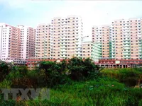 Government ignores affordable housing for low-income earners: experts
