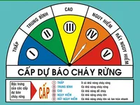 Nguy cơ cháy rừng cao ở Trung bộ do nắng nóng