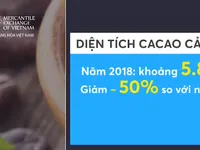 Giá ca cao kỳ hạn tăng