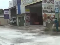 TP.HCM: Triển khai nhiều biện pháp kiểm soát dịch tả lợn châu Phi