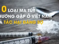 [Infographic] 10 loại ma túy thường gặp ở Việt Nam và tác hại đáng sợ