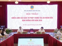 Hội thảo “Chiến lược cải cách tư pháp trong Tòa án nhân dân đến năm 2030”