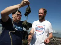 Trung Quốc d&ugrave;ng h&agrave;u l&agrave;m sạch nguồn nước