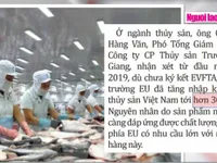 Thông qua EVFTA: Mở cánh cửa lớn sang châu Âu