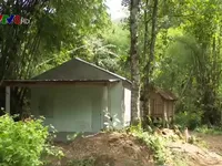 X&acirc;y nh&agrave;, đ&agrave;o ao tr&aacute;i ph&eacute;p chờ dự &aacute;n đền b&ugrave;