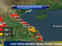 Nhiều tỉnh miền Trung đối mặt với cháy rừng nghiêm trọng